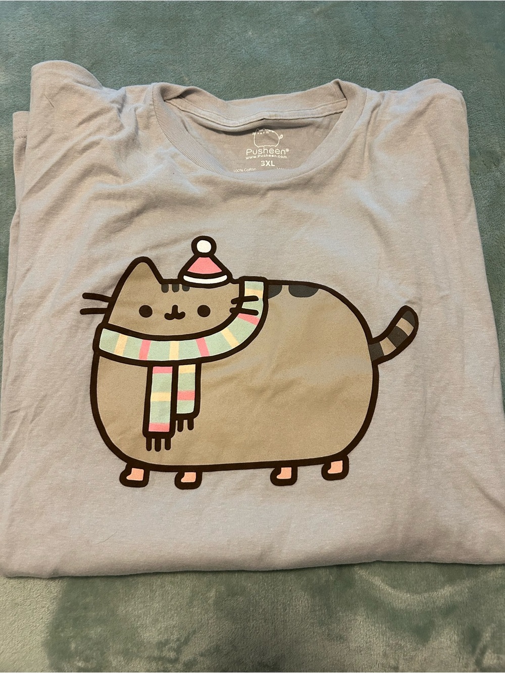 NWOT Pusheen the Cat Gray Winter Graphic Tee